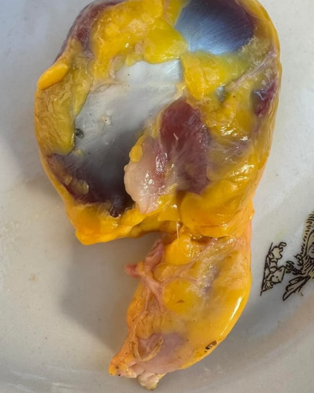 Sabías que si consumes las mollejas de pollo no tienes que tomar…