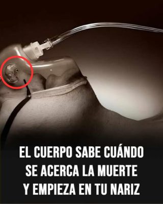 7 señales claras de que la muerte está cerca y cómo afrontarlas