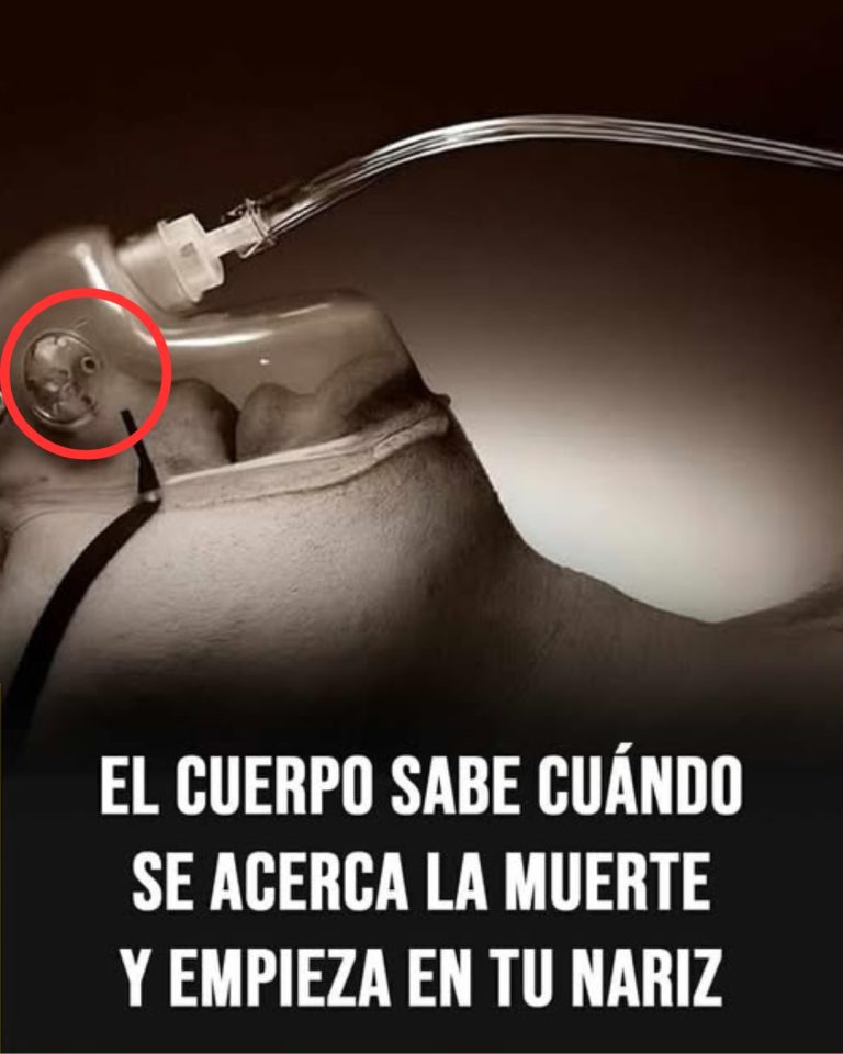 7 señales claras de que la muerte está cerca y cómo afrontarlas