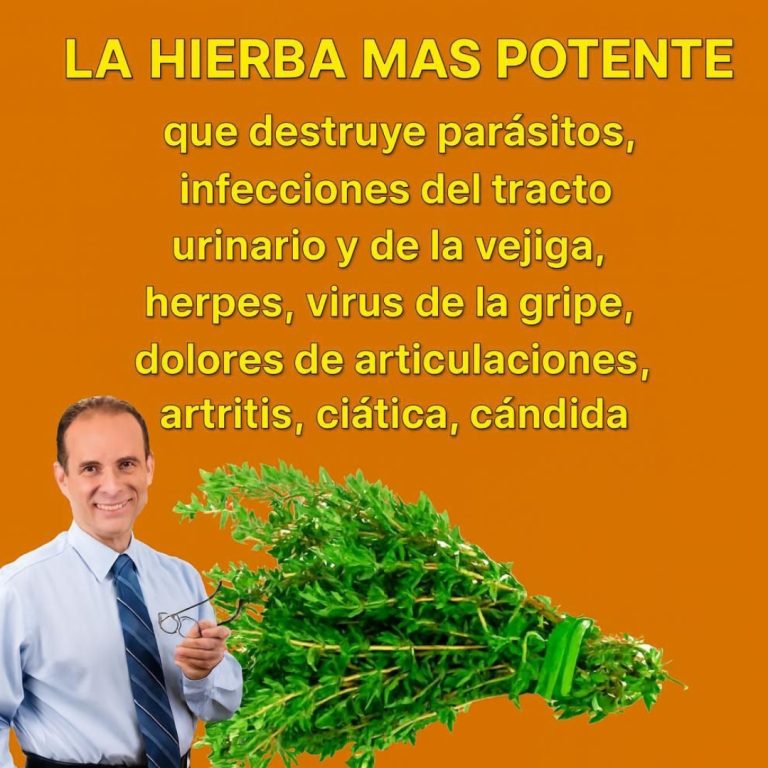 La hierba más potente que acaba con los parásitos , infecciones urinarias y herpes