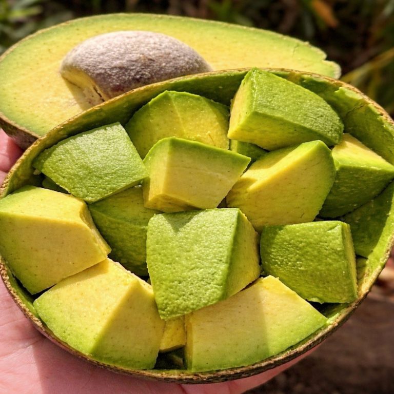 El poder del aguacate: lo que este fruto puede hacer por tu cuerpo