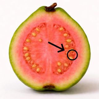 El té de hojas de guayaba