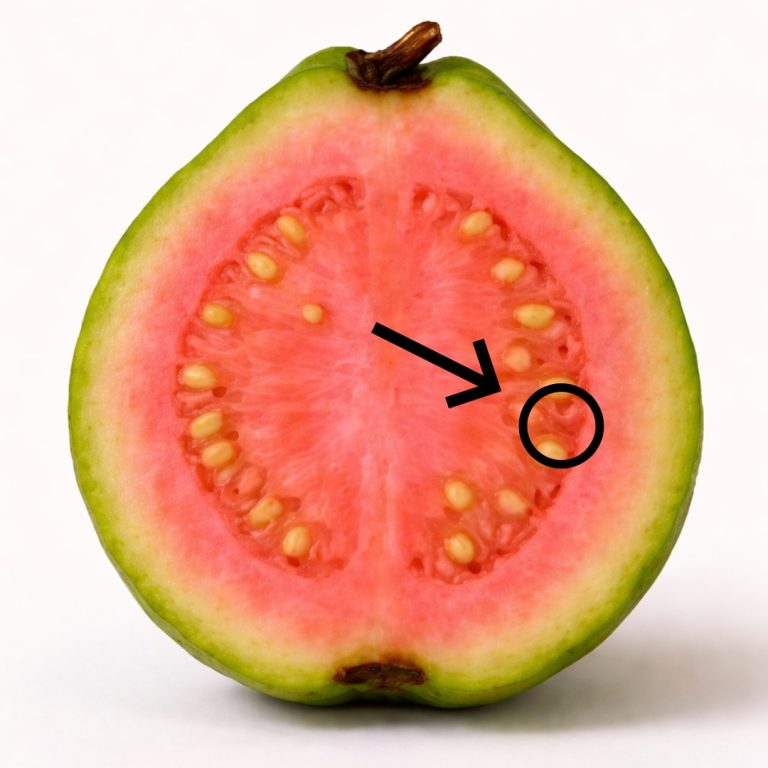 El té de hojas de guayaba