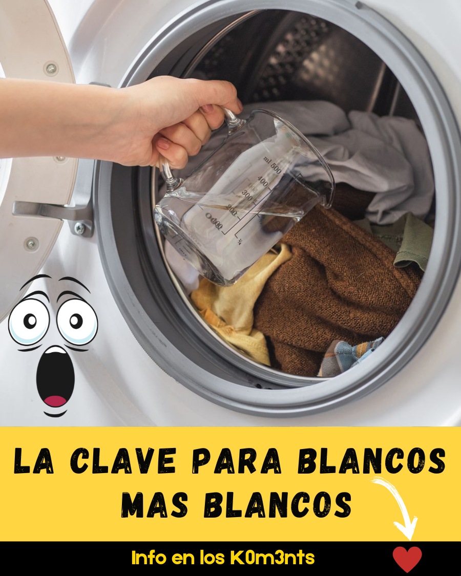 El Vinagre es la clave para obtener blancos más blancos y Toallas más suaves, pero la mayoría lo usa mal. Esta es la forma correcta de usarlo