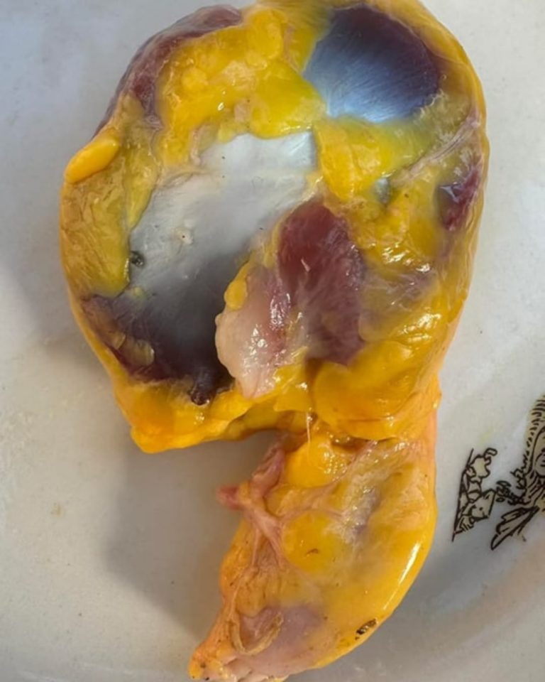 Sabías que si consumes las mollejas de pollo no tienes que tomar…