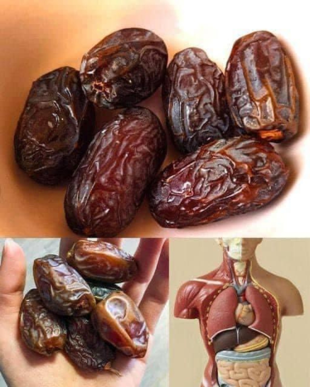 Dátiles: la fruta más poderosa