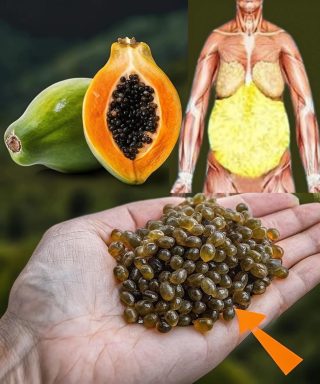 Los 30 Beneficios De Las Semillas De Papaya Y Cómo Usarlas: Recetas, Consejos Y Más