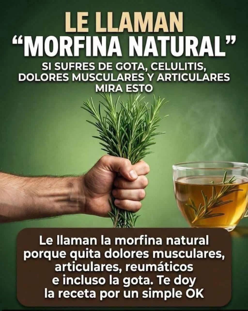 Romero Morfina Natural Para Aliviar Dolor Muscular Y Articular