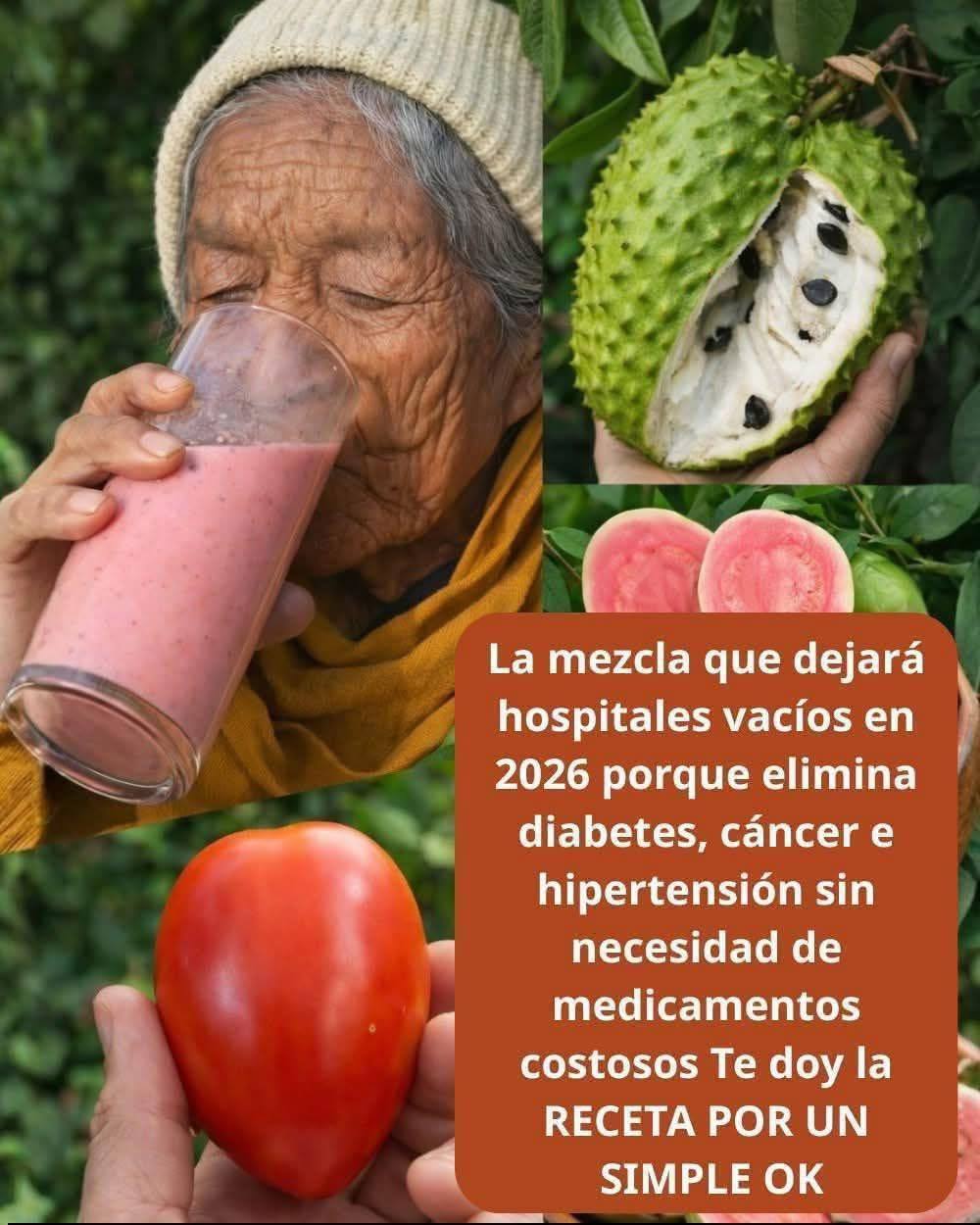 Mezcla Natural de guanabana y tomate y guayaba
