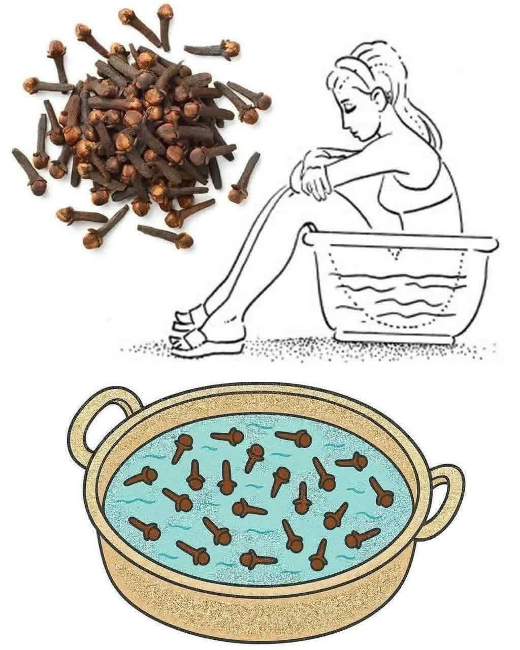 Baños con asiento de agua de clavo: un remedio suave y tradicional para el confort perineal (utilizado de manera segura)