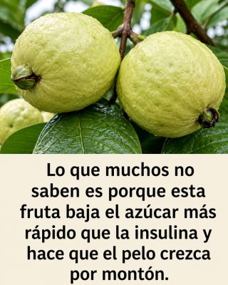 La guayaba es la fruta mas maravillosa del mundo