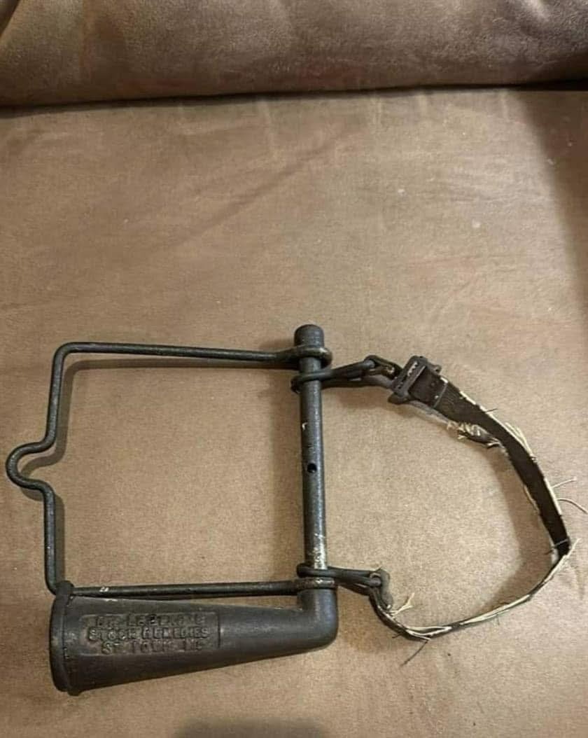 ¿Puedes Identificar Esta Belleza De Bronce? El antiguo empujador de caballos