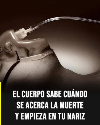 El olor que algunas personas perciben antes de la muerte: qué dice la ciencia y por qué ocurre