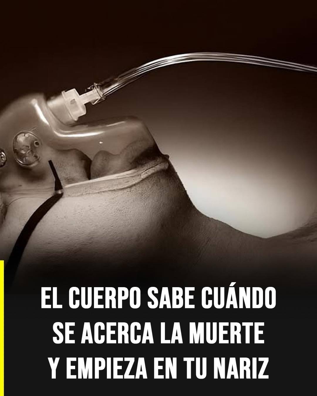 El olor que algunas personas perciben antes de la muerte: qué dice la ciencia y por qué ocurre