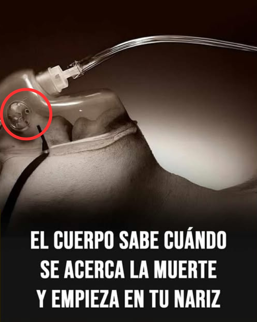 7 señales claras de que la muerte está cerca y cómo afrontarlas