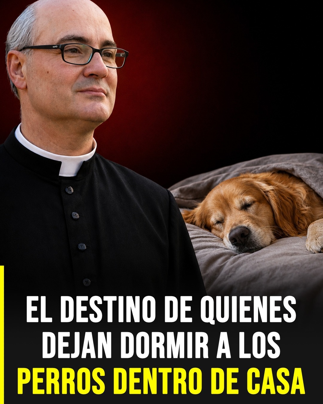 Lo que significa, según un sacerdote, que los perros duerman dentro de la casa