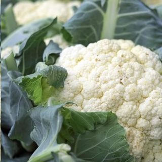 Medicos revelan las cosas que puede causar comer coliflor