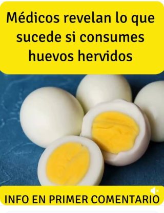 Si usted come Huevos todos los días, esto es lo que le ocurrirá a su cuerpo