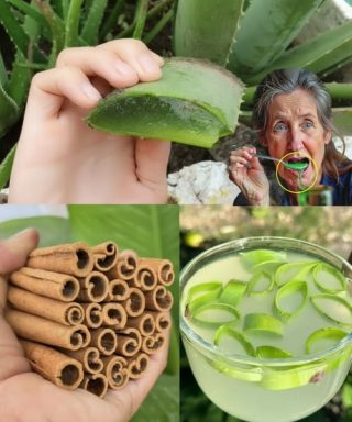¡Descubre el Secreto Natural para Combatir el Cáncer y Proteger tu Visión!