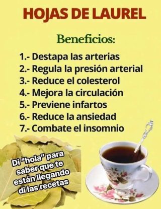 Té de limón y laurel ¿Cómo usarlo para bajar de peso?