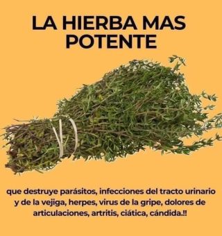 Hierva capazde hacer milagros en nuestra vida.