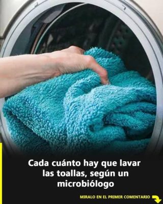 Cada cuánto tiempo hay que lavar las toallas, según los microbiólogos