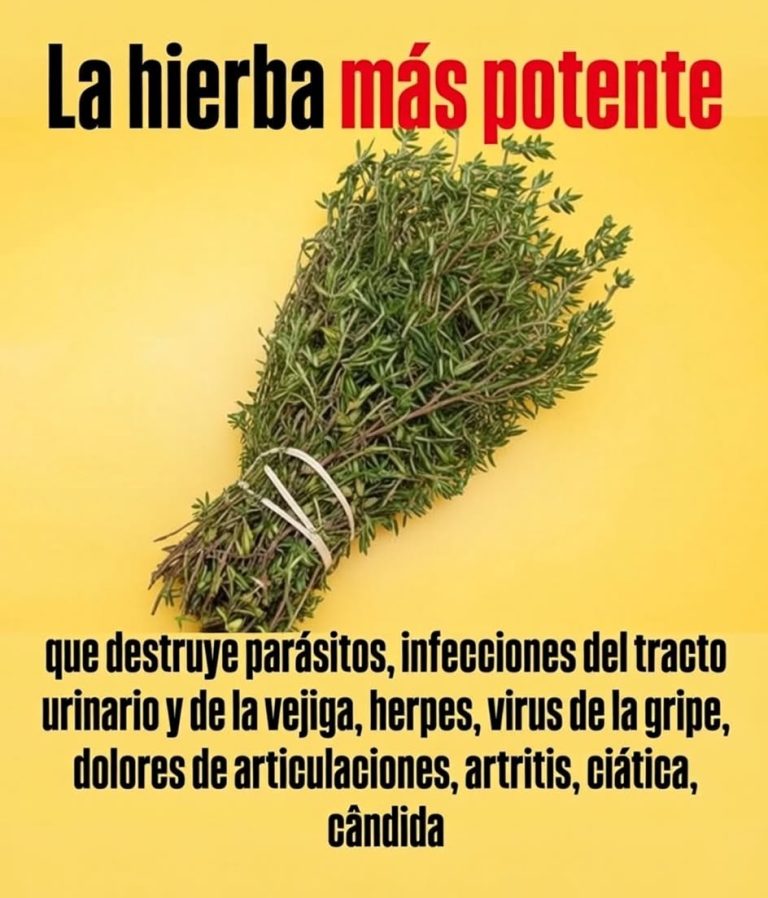 Si tienes esta planta en tu casa, tienes un tesoro y no lo sabias