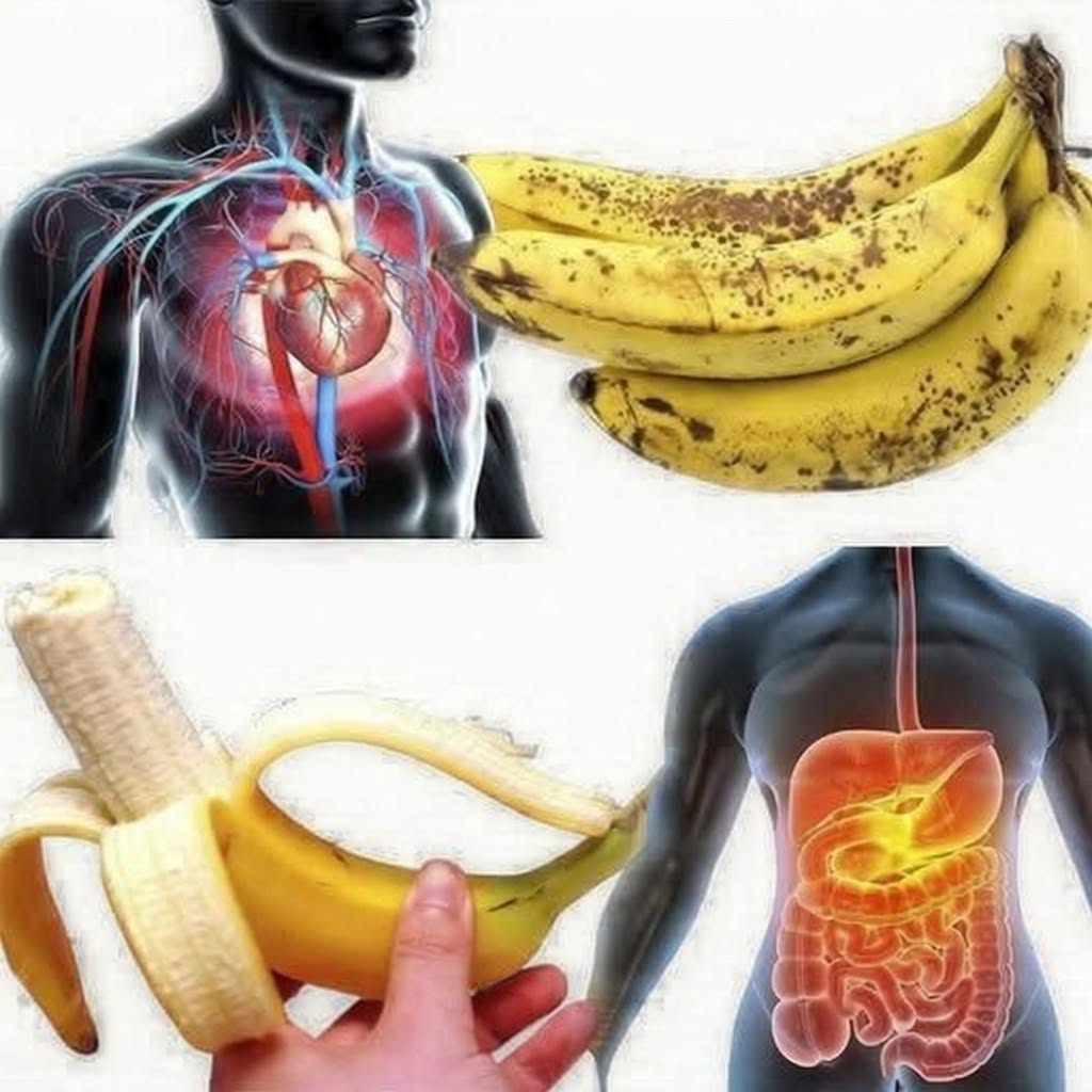 Esto es lo que le ocurre a tu cuerpo cuando comes plátanos para desayunar. ¡Mi madre no lo sabía hasta que el Doctor se lo dijo