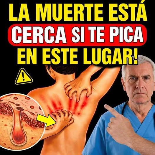3 zonas del cuerpo con picazón persistente que podrían ser una señal de alerta y conviene no ignorar.