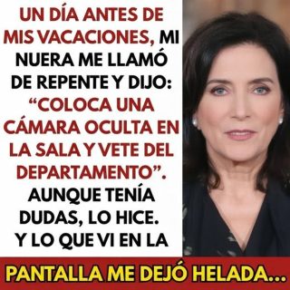 “Coloca una cámara oculta en la sala y vete del departamento”, me dijo mi nuera y esto sucedió.
