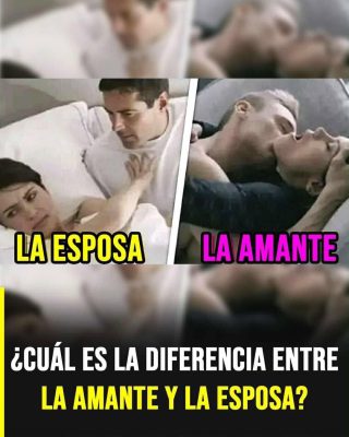 Esposa y amante: una mirada profunda sobre el amor, la costumbre y el deseo humano