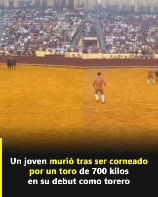 Tragedia en Lisboa: muere un joven torero durante su primera corrida en Campo Pequeno