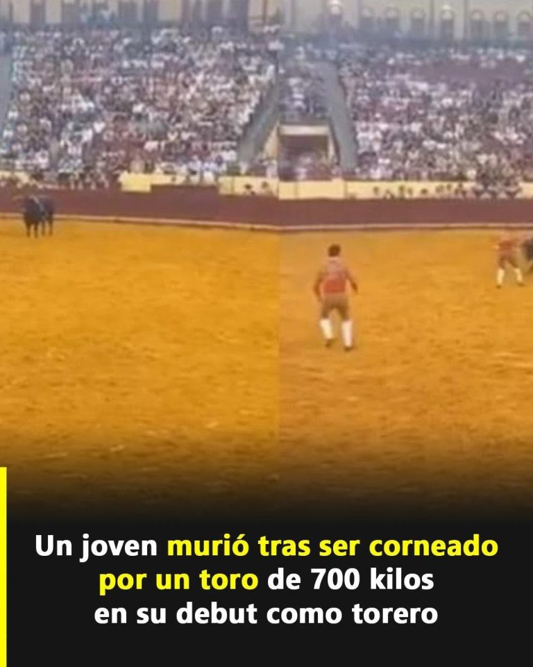 Tragedia en Lisboa: muere un joven torero durante su primera corrida en Campo Pequeno