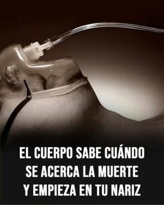 7 señales claras de que la muerte está cerca y cómo afrontarlas