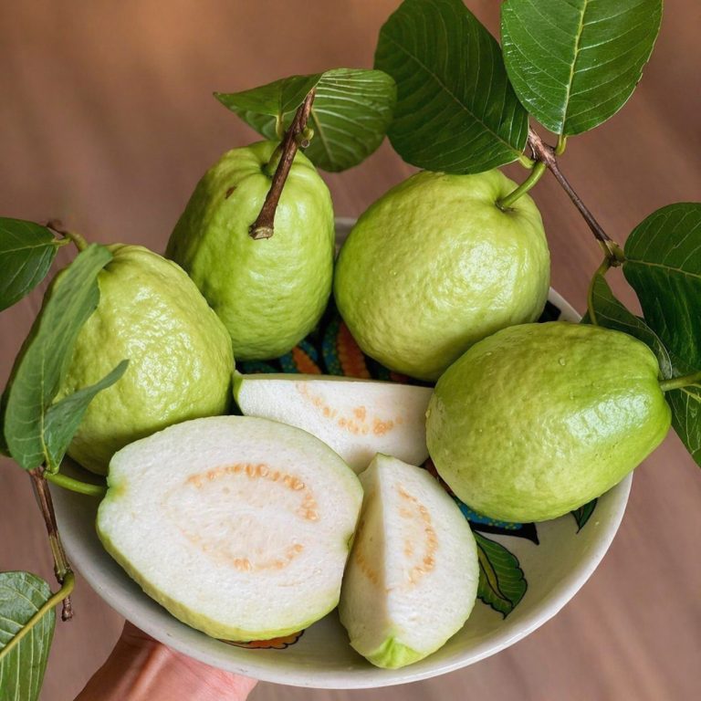 Qué se sabe sobre el consumo de guayaba y sus posibles efectos en la salud