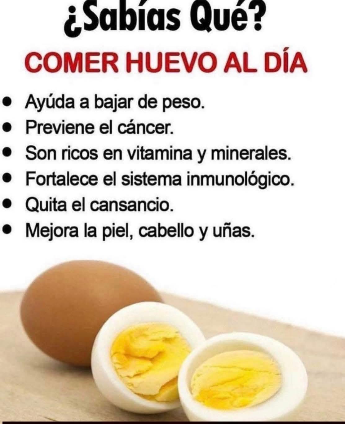 Qué pasa si comes huevo todos los días? Beneficios que muchos no conocen