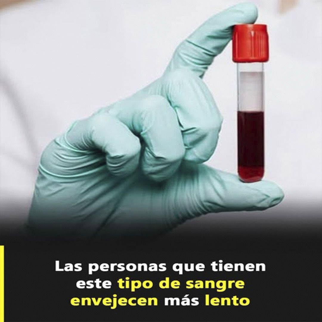 ¿Podría tu tipo de sangre estar marcando la velocidad con que envejeces? Lo que dice la ciencia