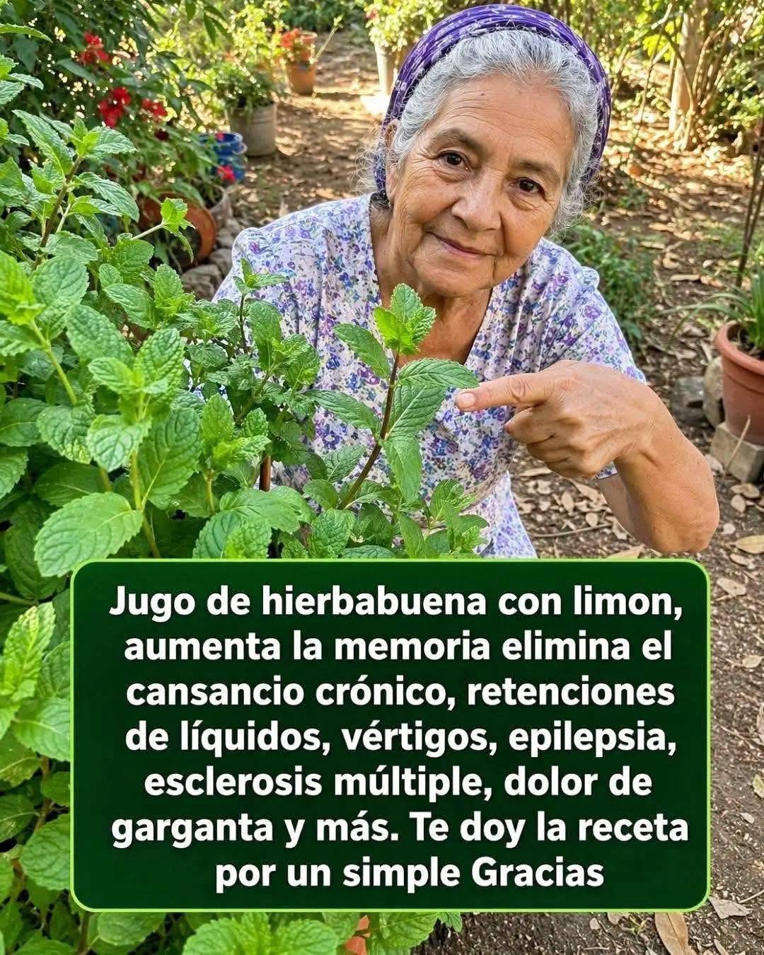Jugo de hierbabuena con limón: una bebida refrescante que muchos incorporan a su rutina saludable