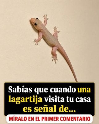 Sabías que cuando una lagartija…Ver más