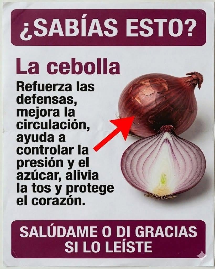 El poder de la cebolla: el alimento natural que protege tu cuerpo