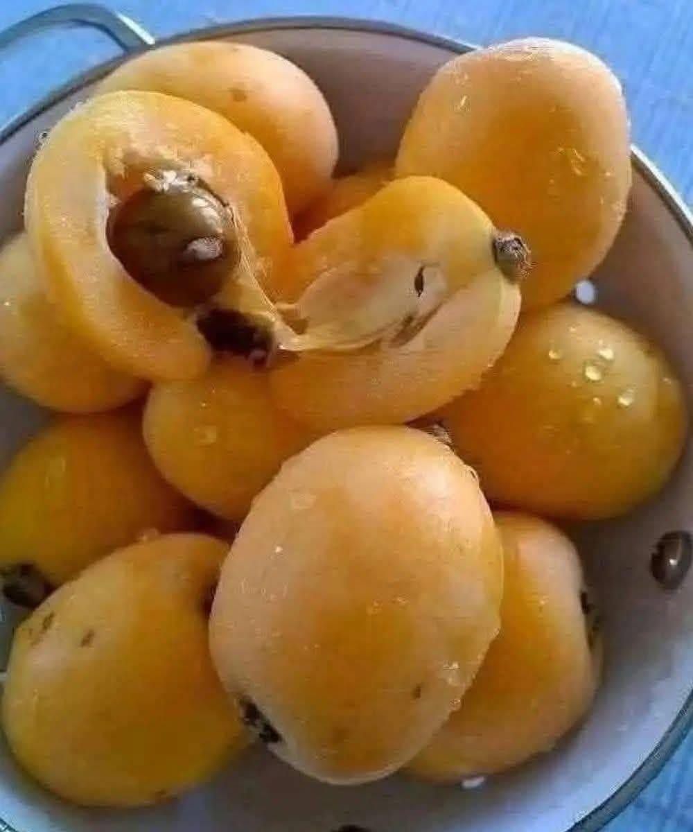 He pasado toda mi vida buscando el nombre de esta fruta