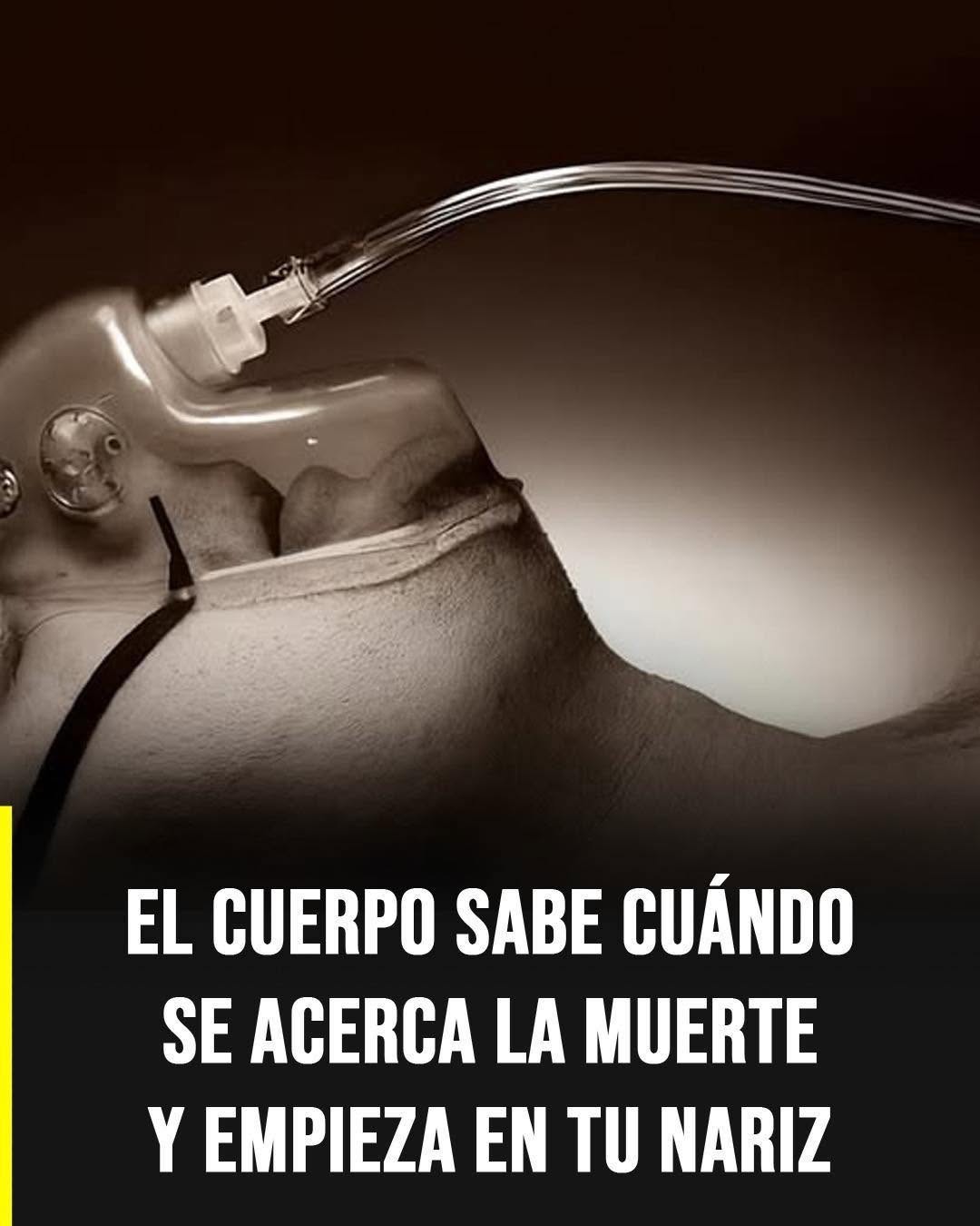 El olor que algunas personas perciben antes de la muerte: qué dice la ciencia y por qué ocurre