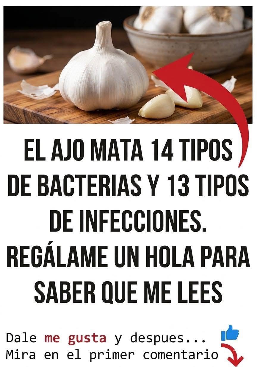 El ajo: el remedio natural que muchos llaman “el antibiótico de la naturaleza