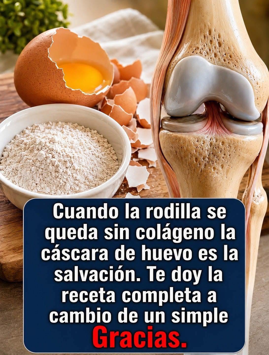 Cáscara de huevo: un recurso natural que podría ayudar en problemas de colágeno en la rodilla