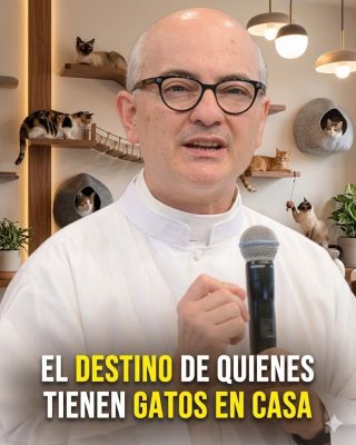 El profundo simbolismo espiritual que muchas personas relacionan con tener gatos en casa