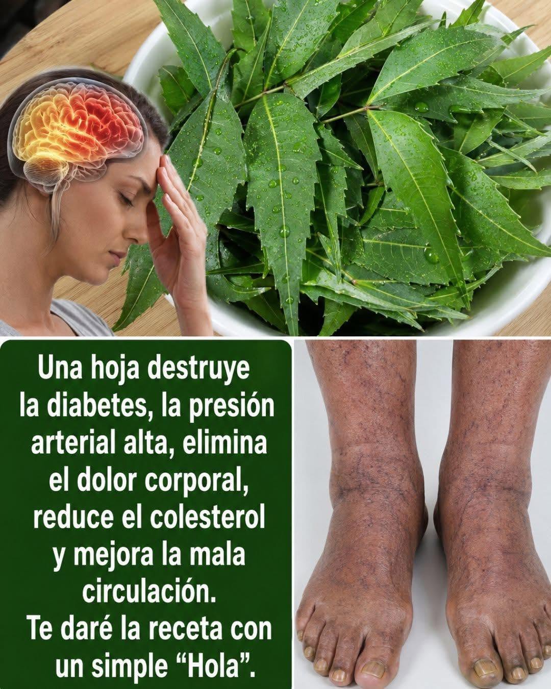 Las hojas de nin: un remedio natural con múltiples beneficios