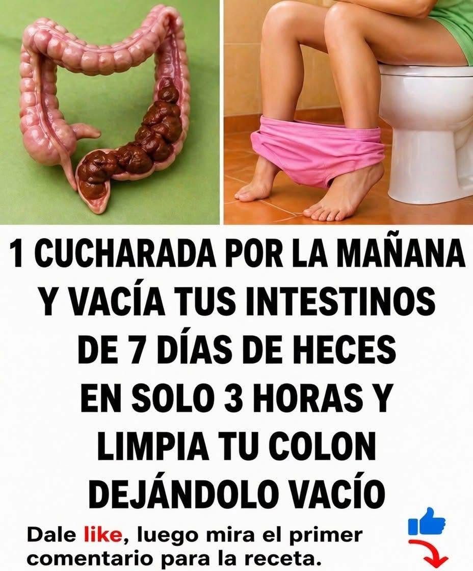 Cómo limpiar tus intestinos de forma natural y segura