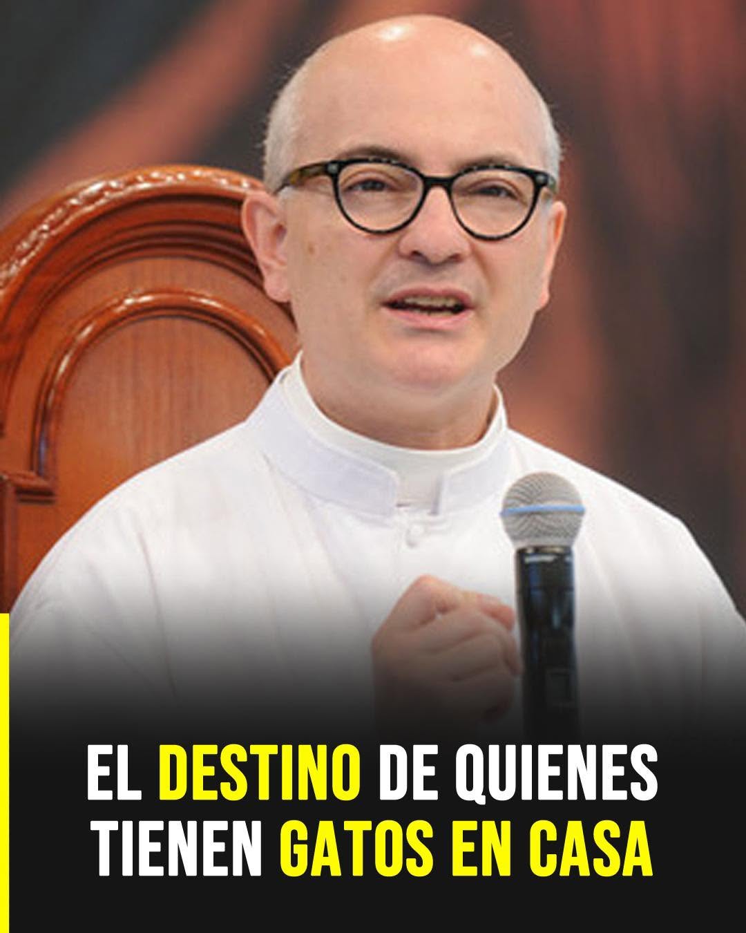 El profundo simbolismo espiritual que muchas personas relacionan con tener gatos en casa