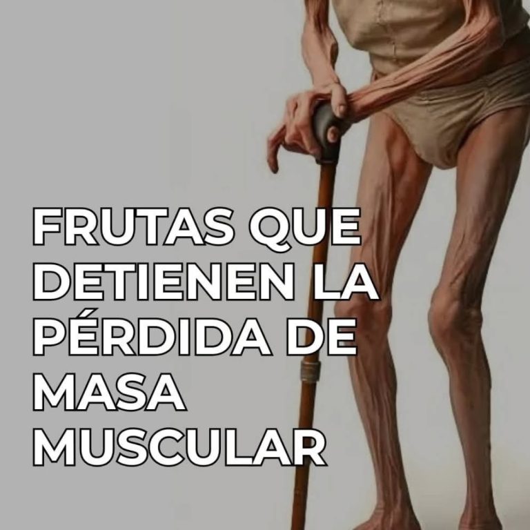 Qué Comer para Subir la Energía Después de los 60 Años: Alimentos Clave para Vitalidad y Bienestar