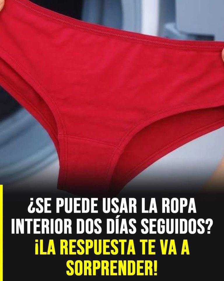 Cada cuánto recomiendan los médicos cambiar la ropa interior y por qué no es un detalle menor